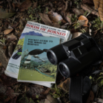 A Beginner’s Guide to Birding