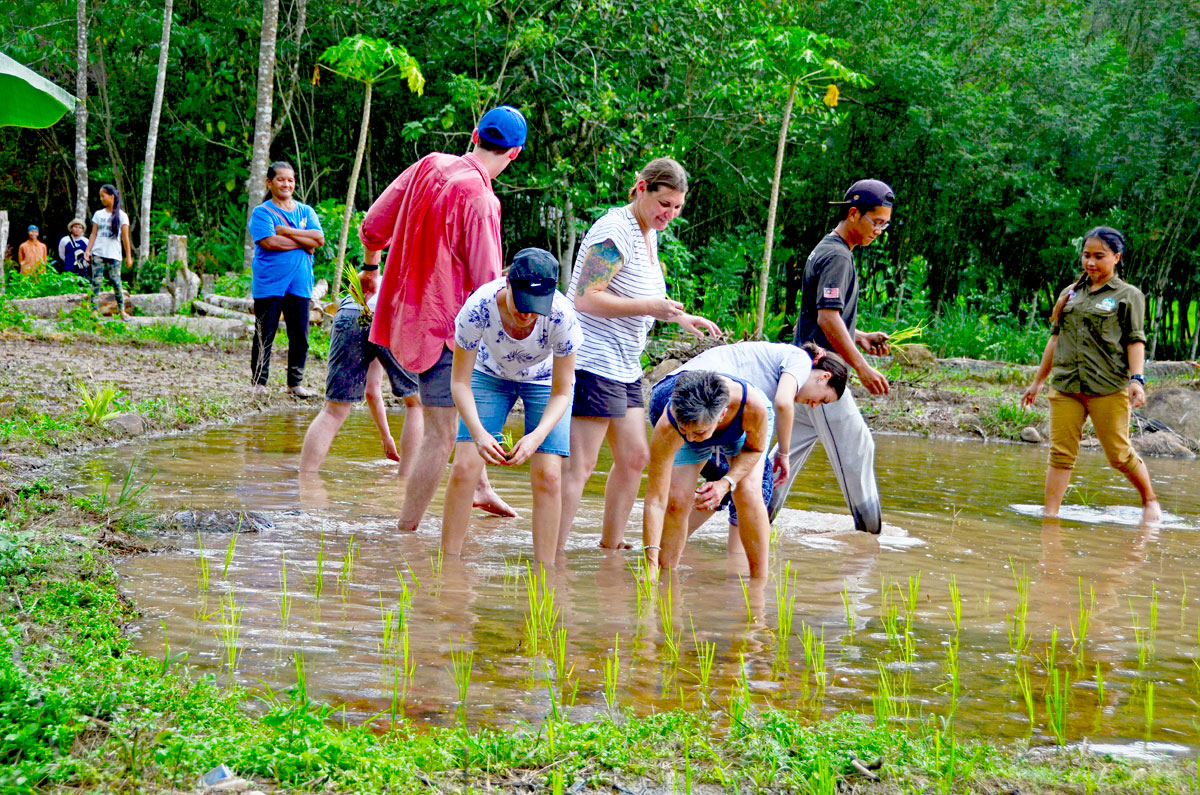 Borneo Eco Tours