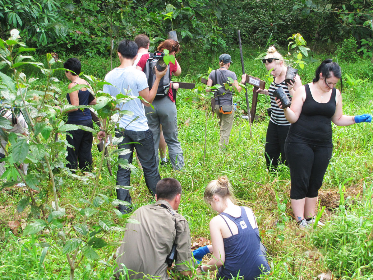 Borneo Eco Tours