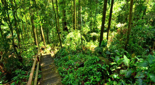 Bukit Gemok, Tawau