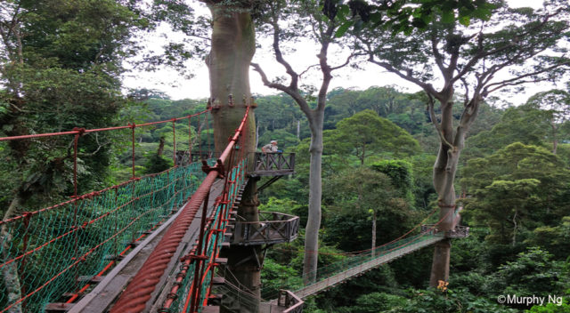 Danum Valley Conservation Area