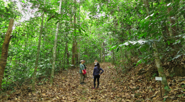 Deramakot Forest Reserve