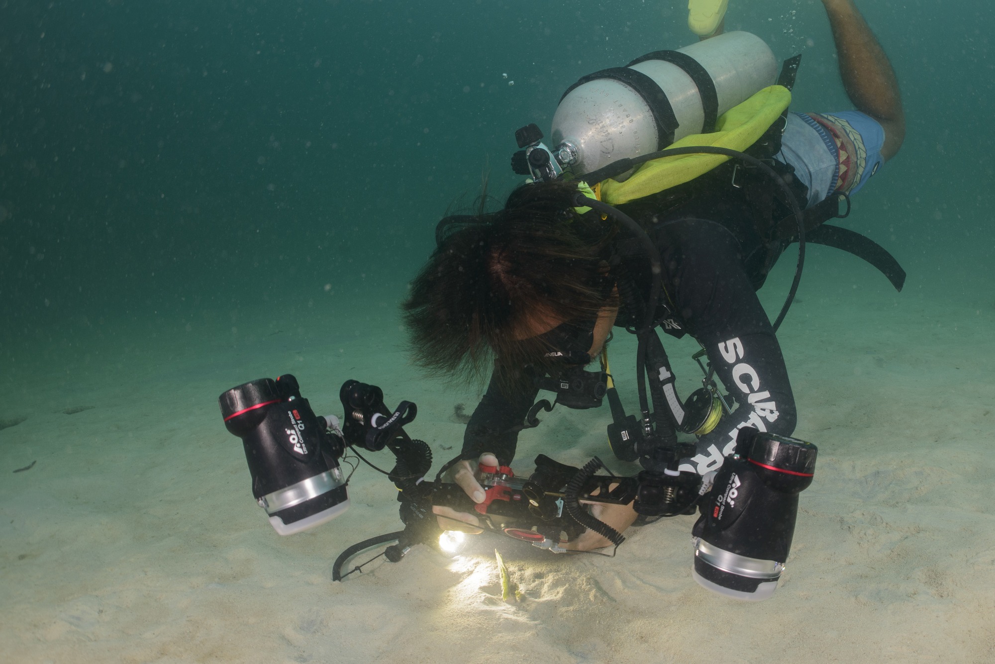 Diving TARP