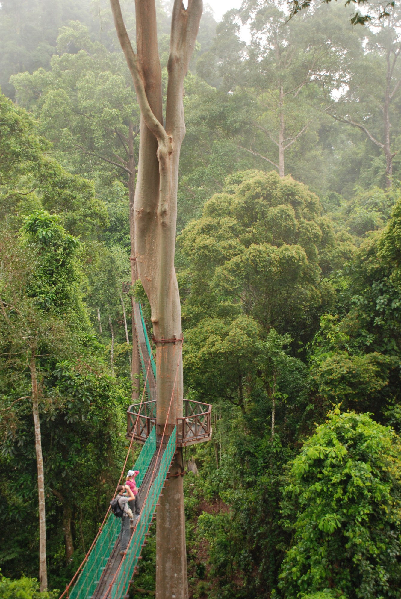 DANUM VALLEY CONSERVATION AREA