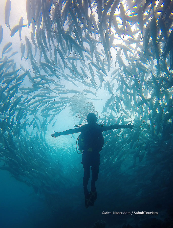 DIVING
