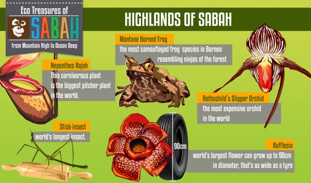 Highlands of Sabah