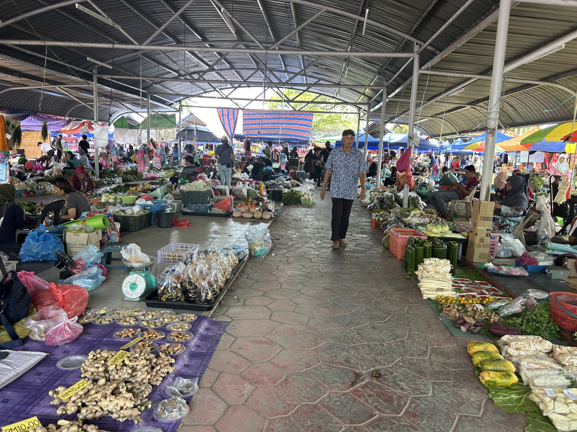 Tamu Besar Kota Belud