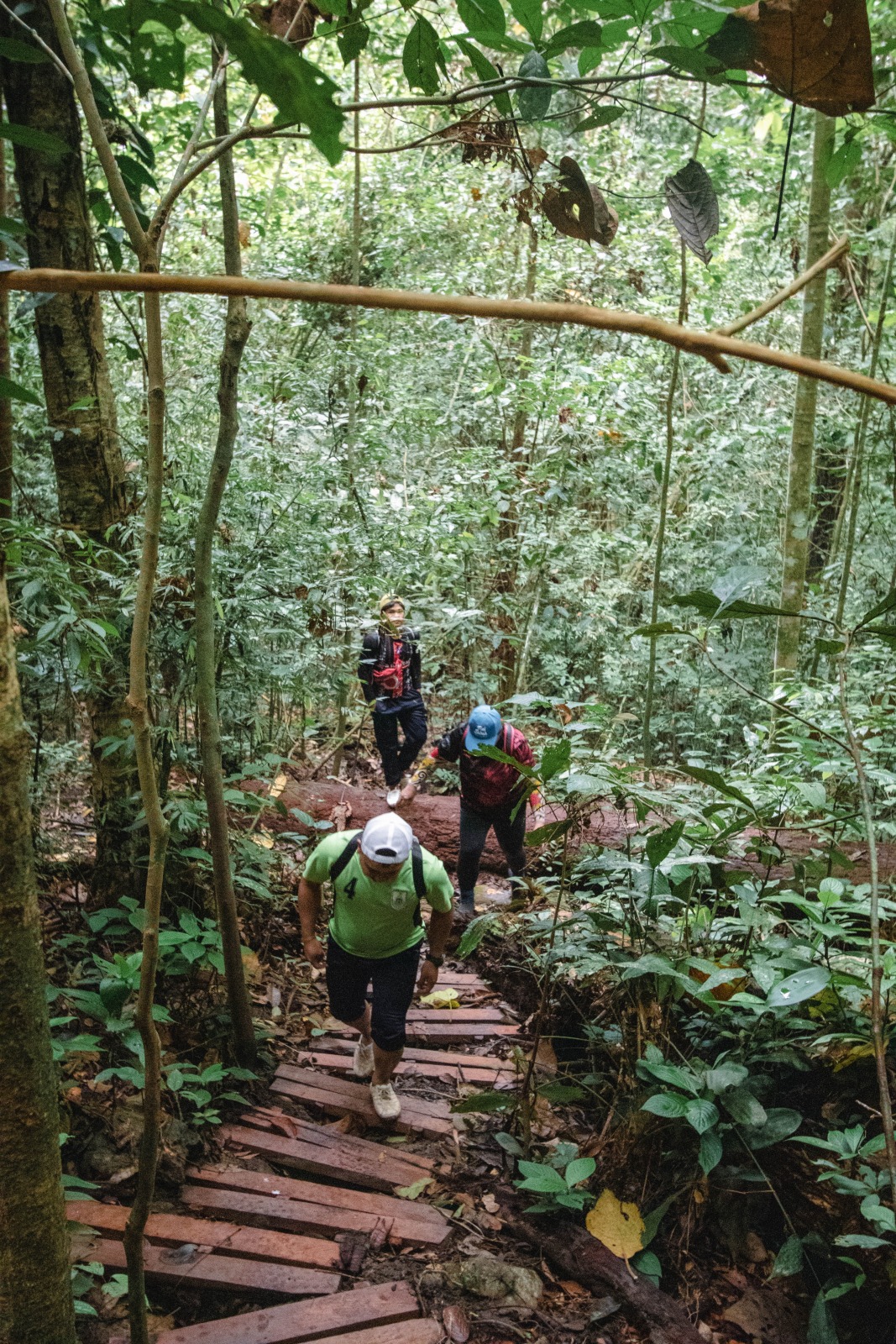 Jungle Trekking at Kabulongou