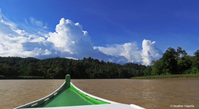 Kinabatangan Wildlife Sanctuary