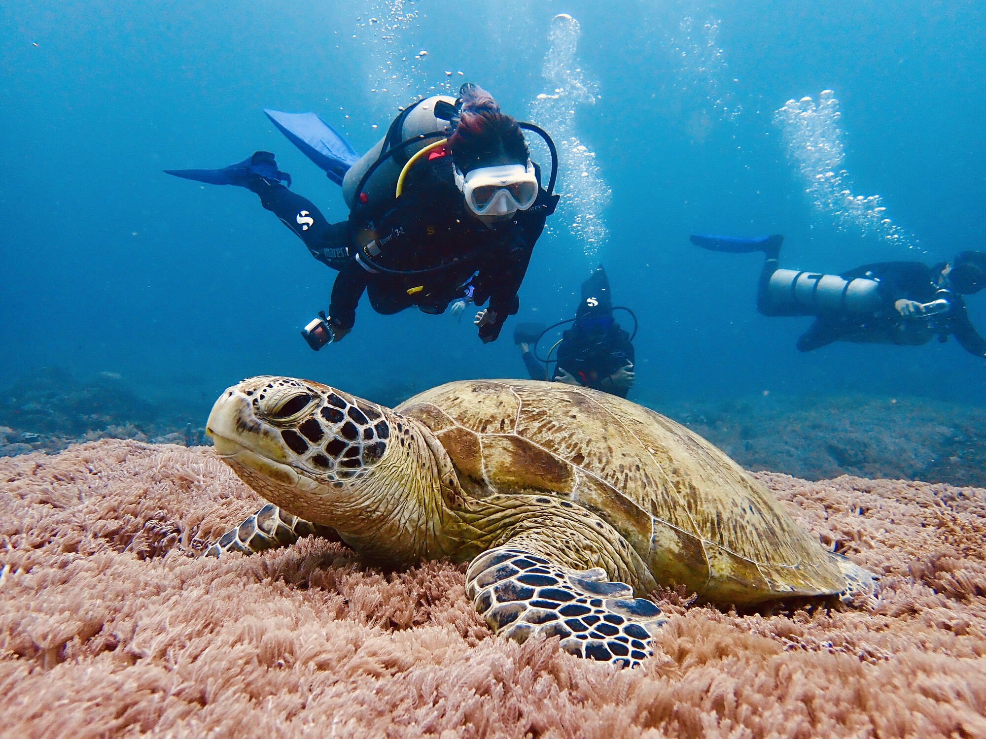 Sipadan Island