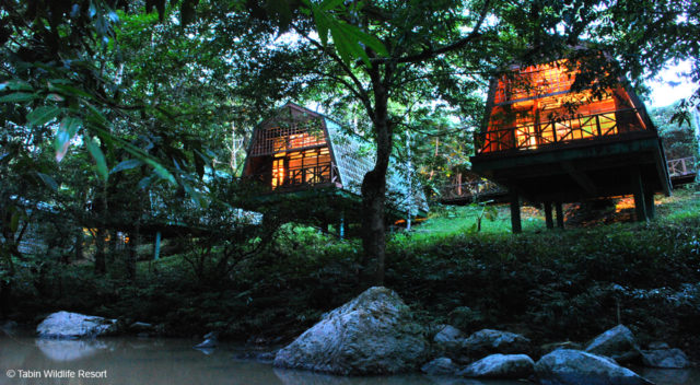 Tabin Wildlife Reserve